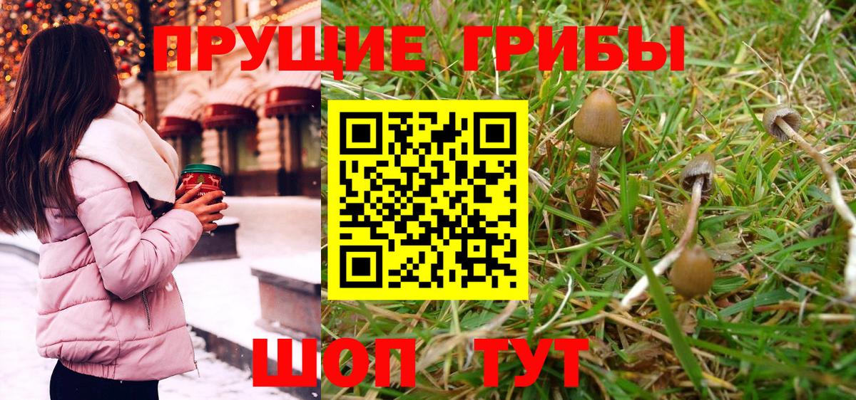 Галлюциногенные грибы MAGIC MUSHROOMS  Вход с VPN  Карасук  Псилоцибиновые грибы MAGIC MUSHROOMS 