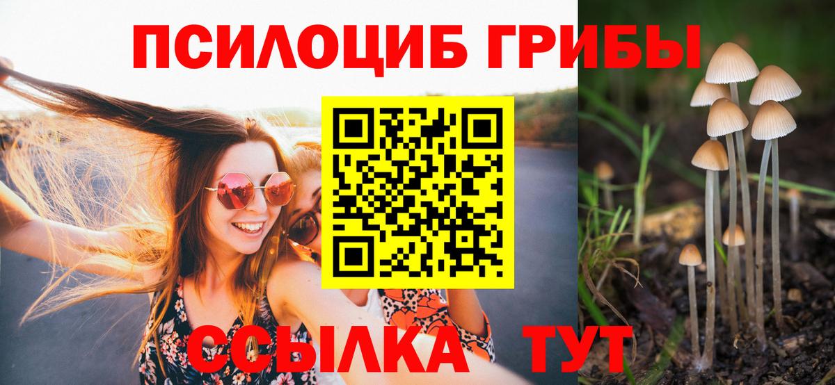 Псилоцибиновые грибы мухоморы Карасук